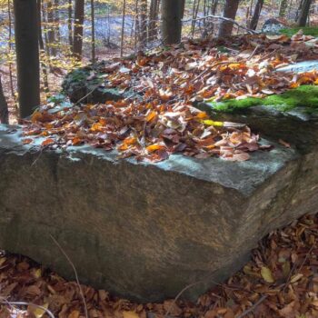 The Gate of Transylvania JIU Valley Dracula Throne 3