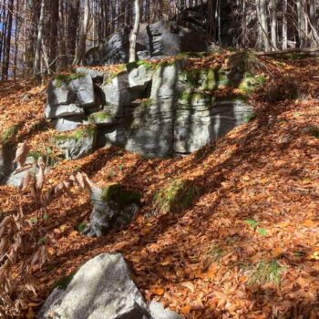 The Gate of Transylvania JIU Valley Dracula Throne 5