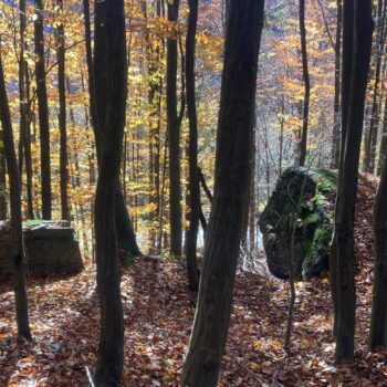 The Gate of Transylvania JIU Valley Dracula Throne 6