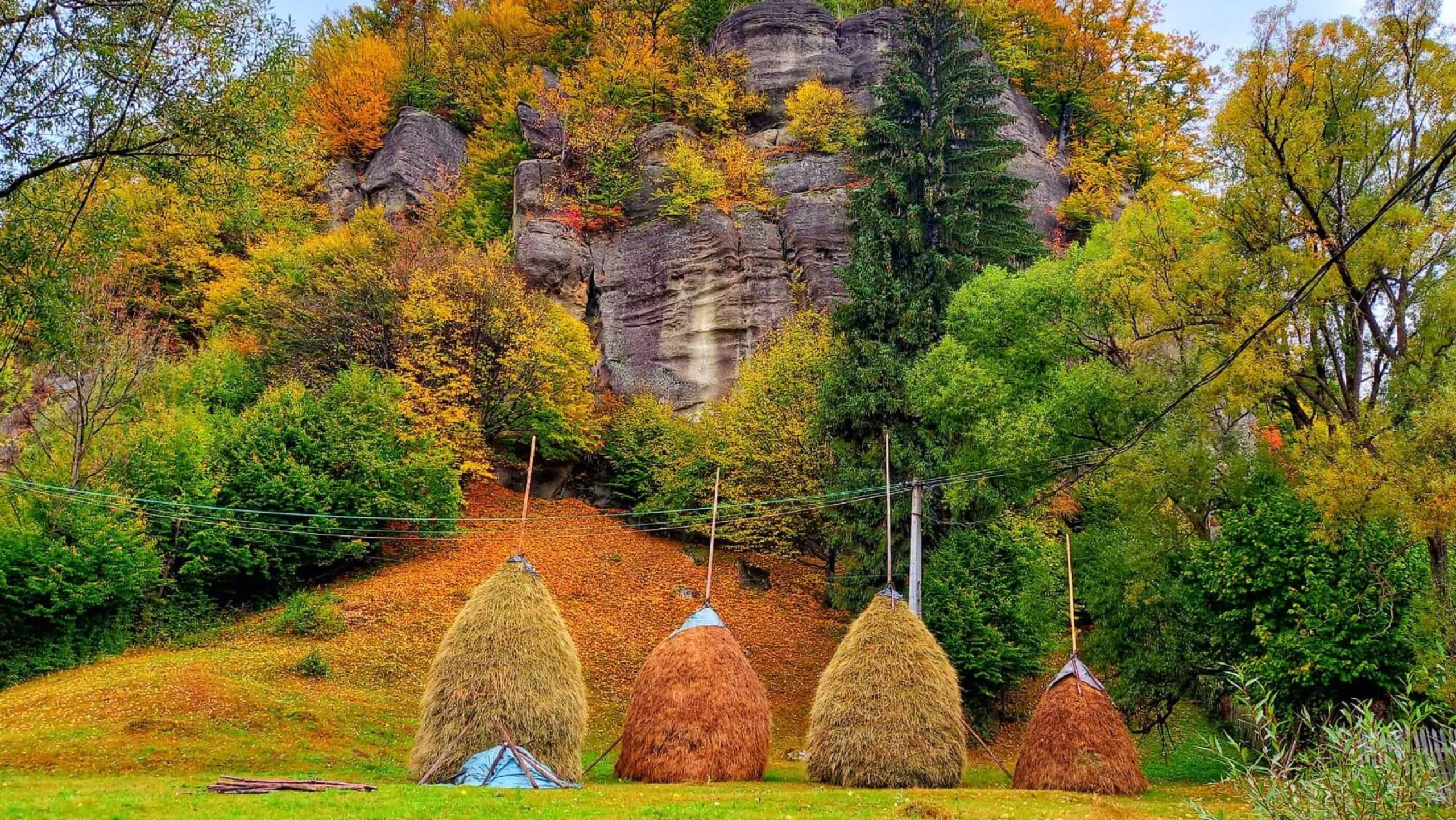 探索新境 tinutulmomarlanilor.ro